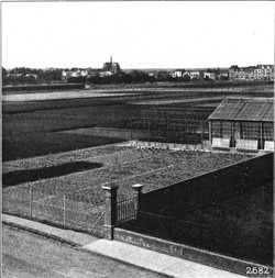 Bild 8. Vegetationshaus, Zuchtgarten für Hackfrüchte und Klee und Versuchsfeld des Instituts für Boden- und Pflanzenbaulehre in Bonn- Poppelsdorf.