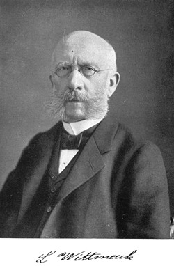 [L. Wittmack]