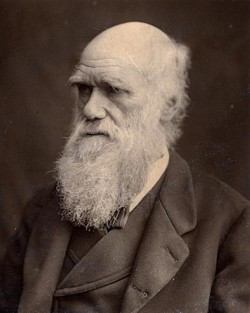  [Portrait of Charles Darwin]   