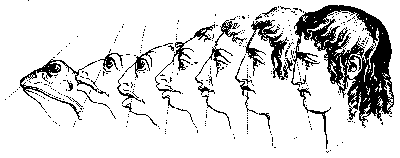 after Lavater:
morphing from frog to man